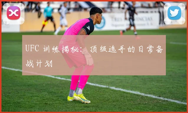 UFC 训练揭秘：顶级选手的日常备战计划