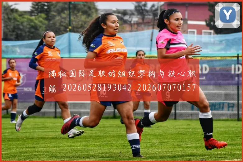 揭秘国际足联的组织架构与核心职能_20260528193042_20260707015751
