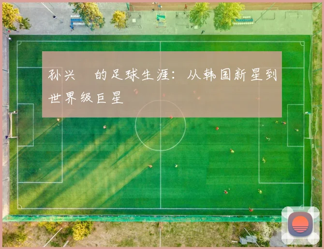 孙兴慜的足球生涯：从韩国新星到世界级巨星